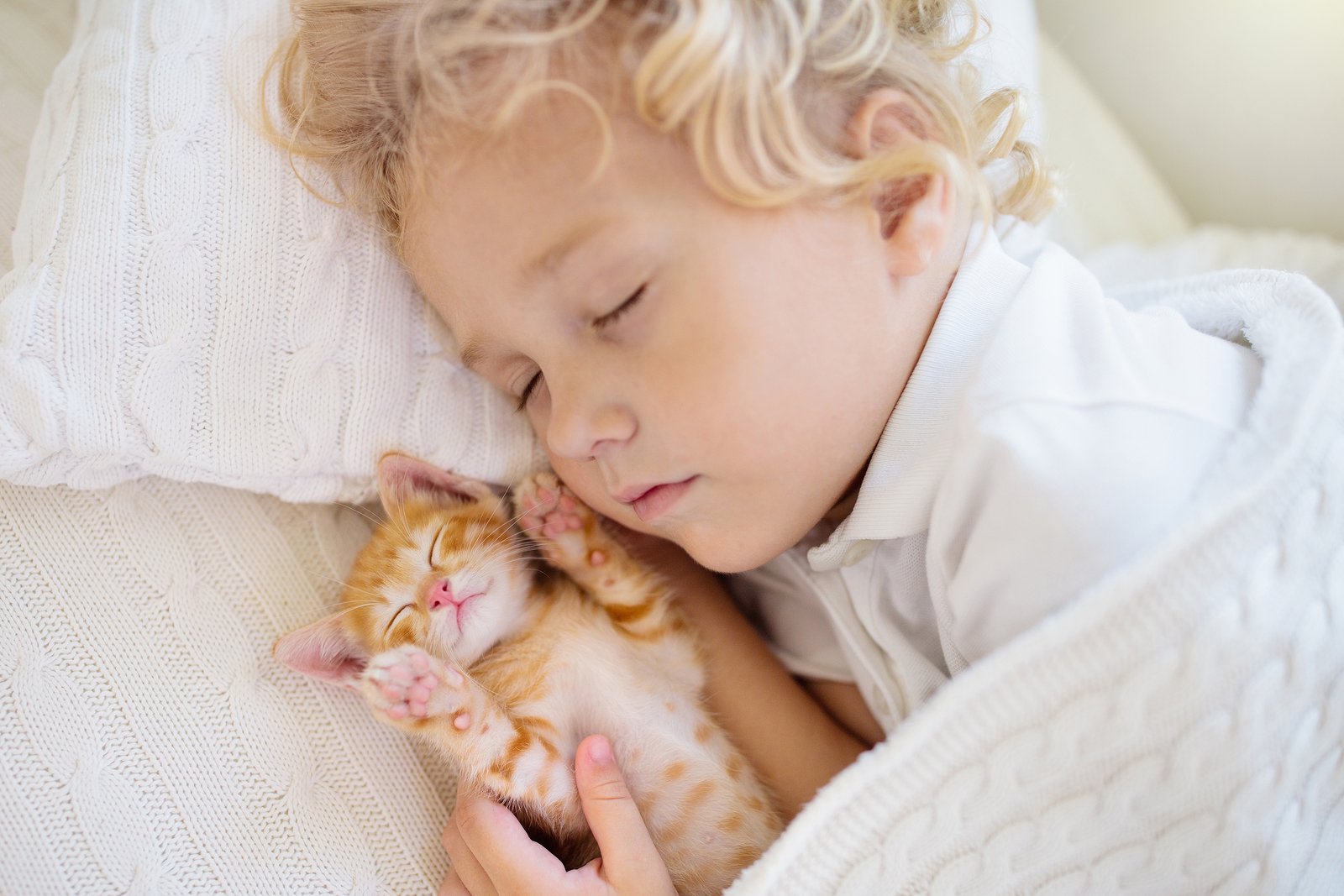Для малышей (котенок). Спящий младенец с котенком. Sleep on sweet little child day