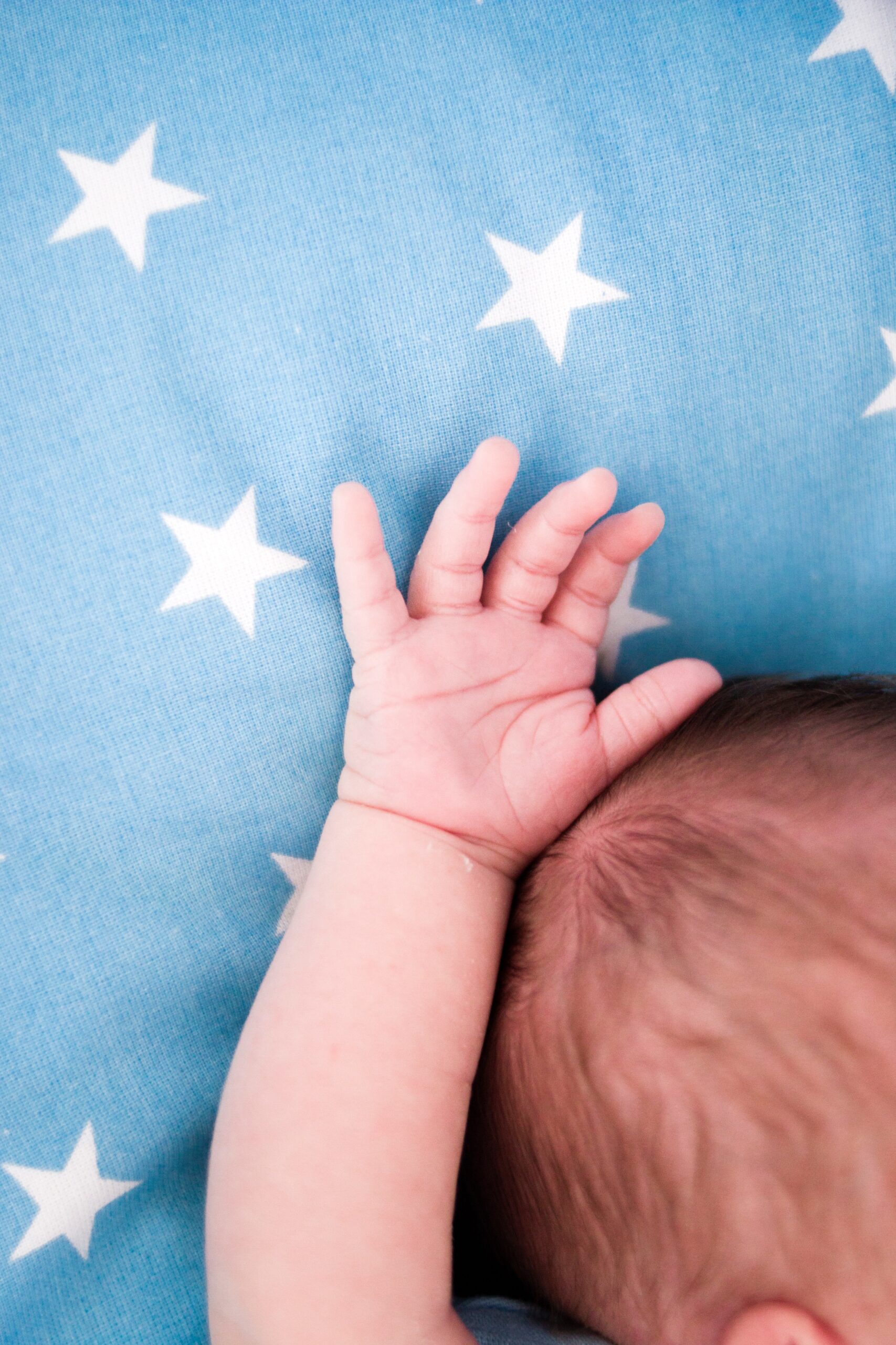 How Long Should 6 Week Old Sleep During Day